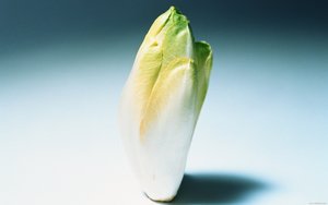 服务值得花时间学吗